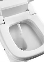 Uppfällt lock japansk toalettsits 1